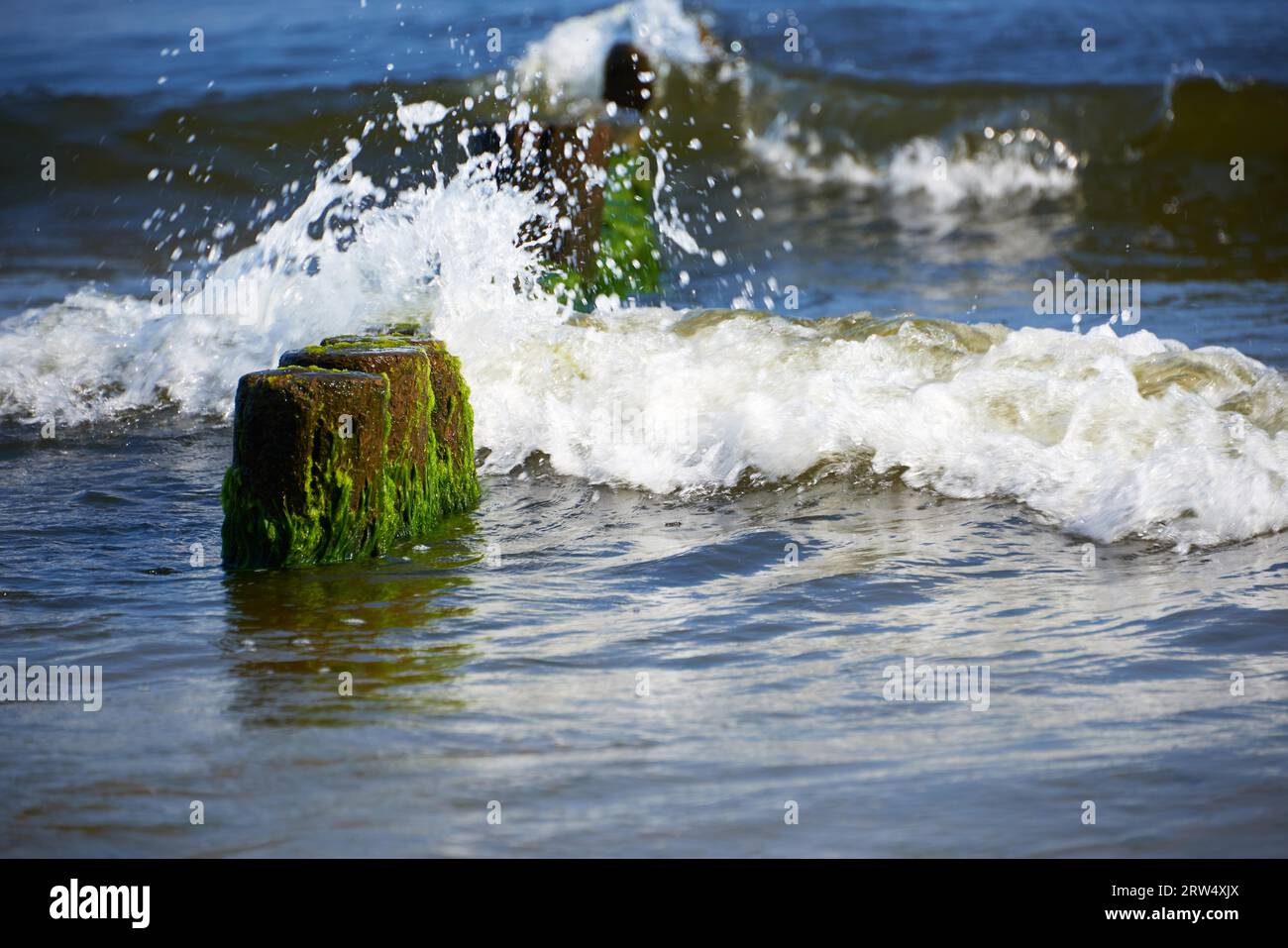 Brise-lames en action en mer baltique Banque D'Images