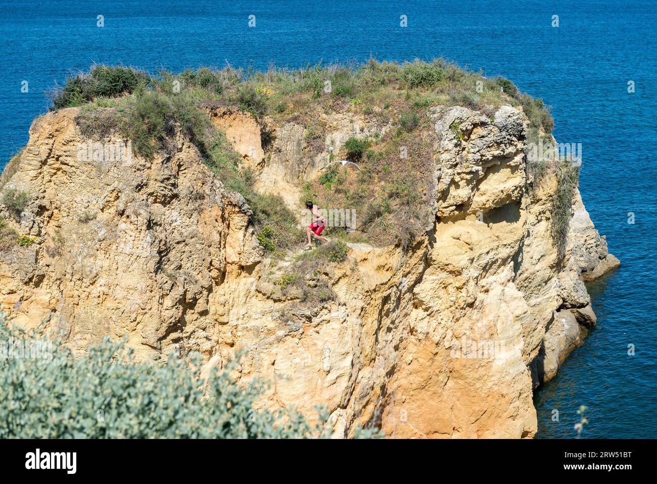 Lagos, Portugal, le 1 mai 2014 : Sea Gull beach Batata en attaque, Lagos, Algarve, Portugal Banque D'Images