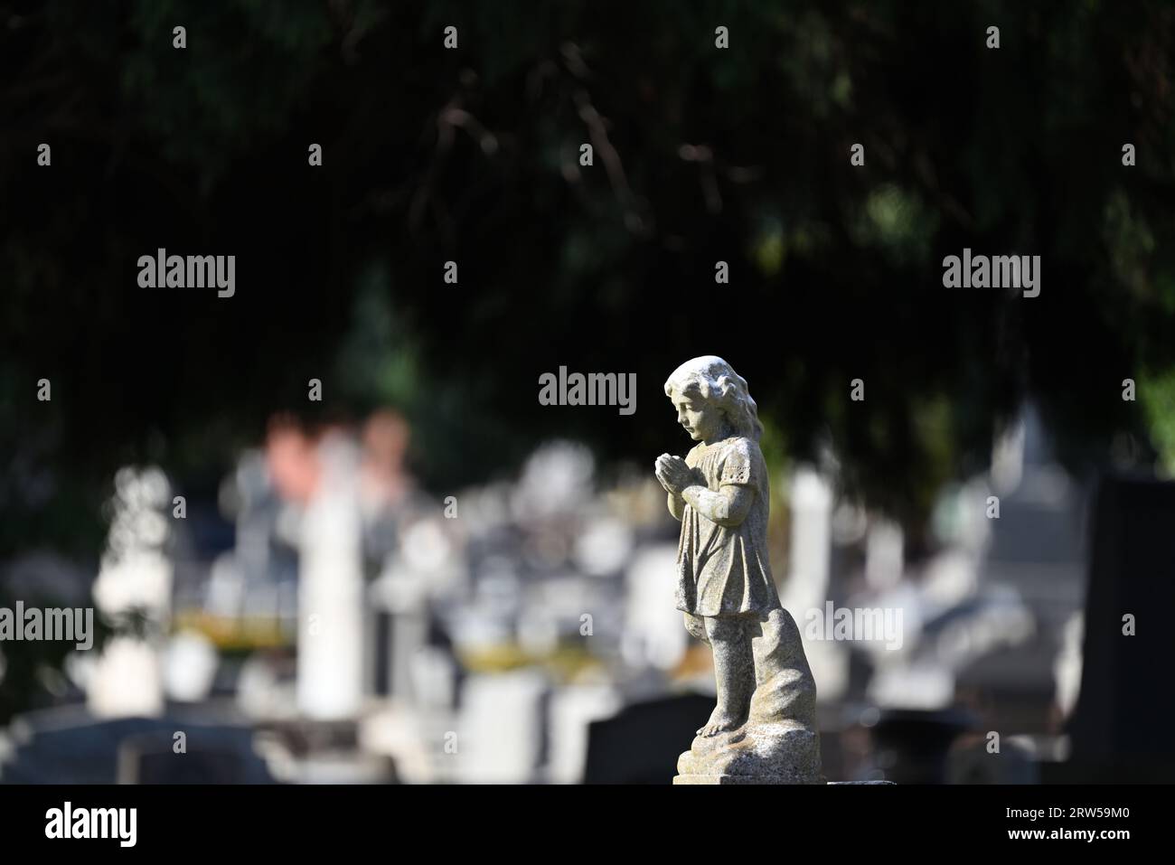 Vue latérale d'une sculpture en pierre d'un enfant en prière située dans un cimetière, avec des tombes floues et des pierres tombales en arrière-plan Banque D'Images