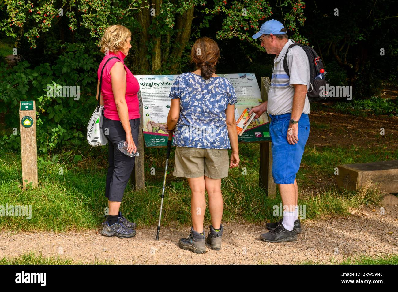 Trois visiteurs d'âge moyen et plus âgés étudient le panneau d'information à l'entrée de la réserve naturelle nationale de Kingley Vale, dans le West Sussex, en Angleterre. Banque D'Images