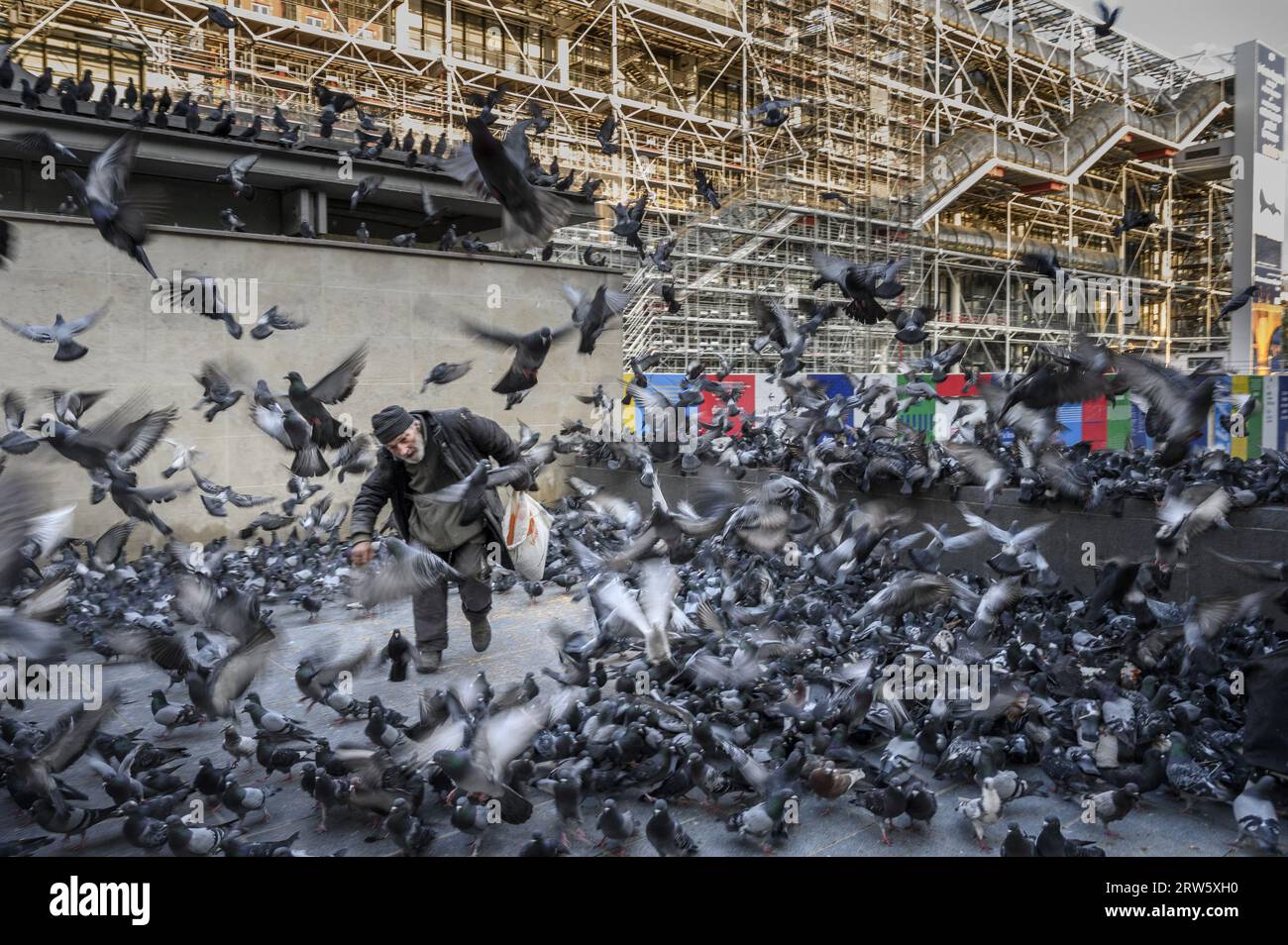 FRANCE, PARIS (75) - 26 AVRIL 2020 - 1E CONFINEMENT DÛ À L'ÉPIDÉMIE DE COVID19. UN VIEIL HOMME NOURRIT LES PIGEONS PRÈS DU CENTRE BEAUBOURG Banque D'Images