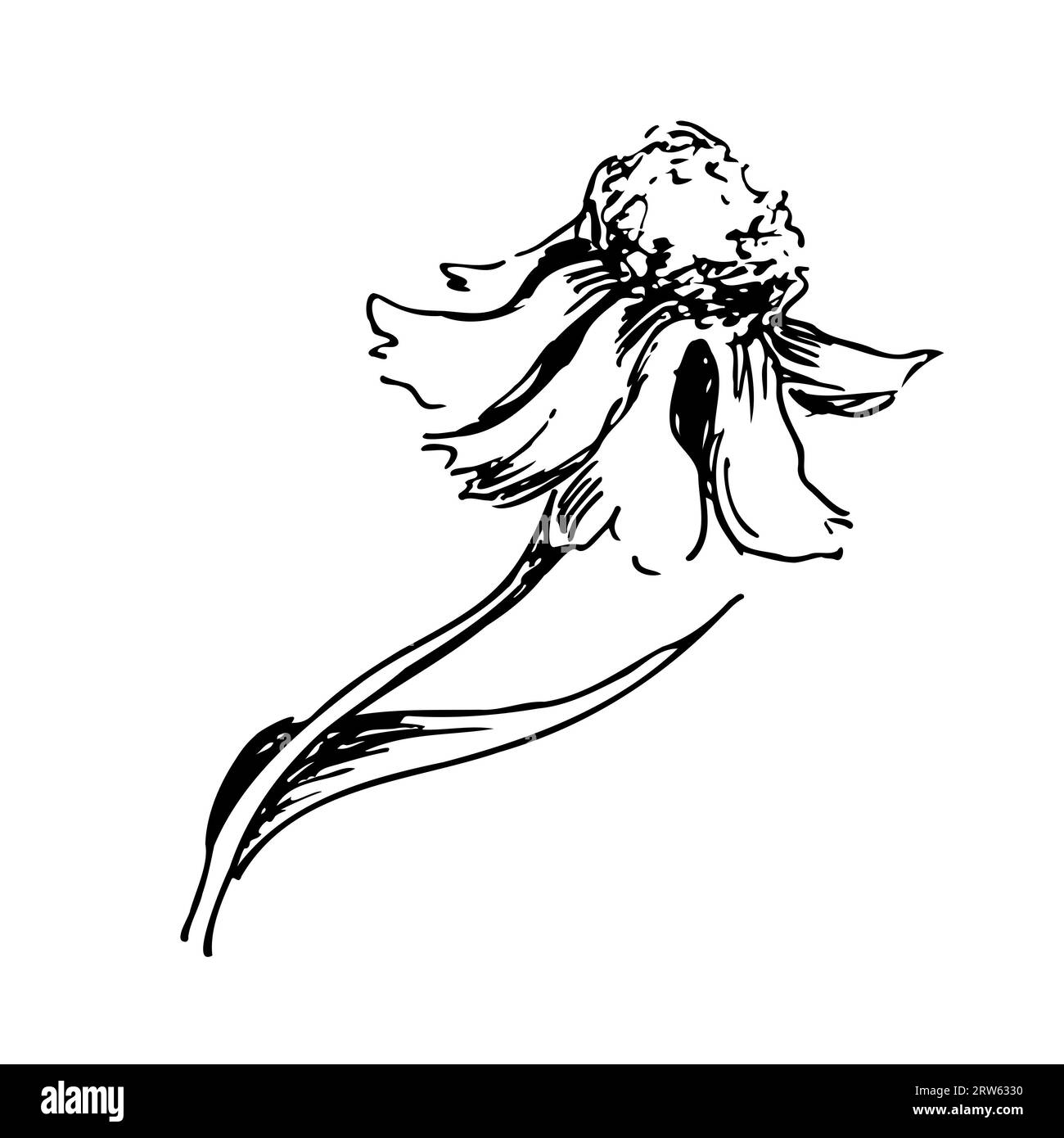 dessin graphique linéaire d'une fleur sauvage. Plantes et fleurs Banque D'Images