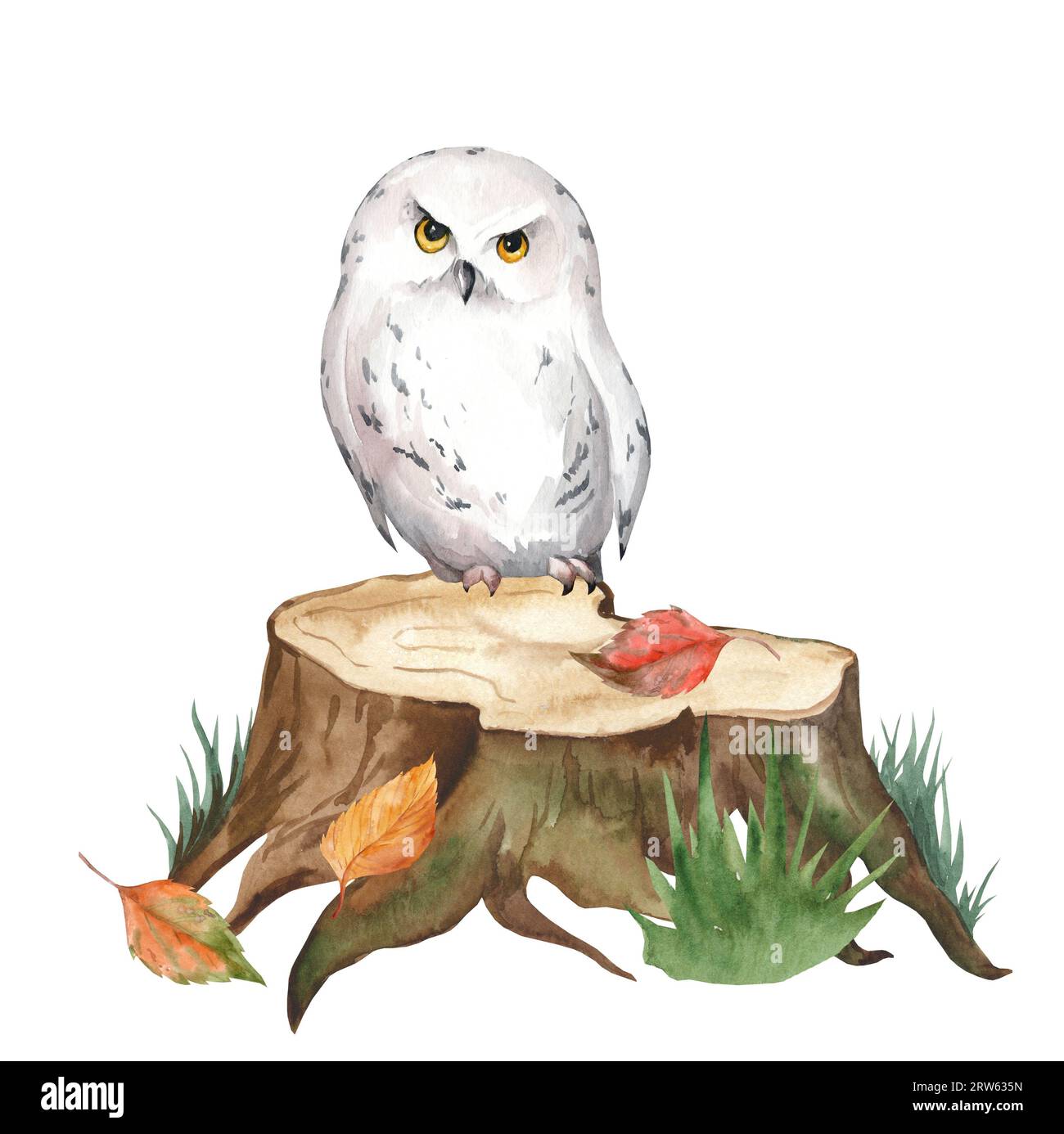 Aquarelle illustration réaliste d'un hibou des neiges sur une souche. Forêt d'automne. Parfait pour carte postale et décoration de chambre d'enfants Banque D'Images