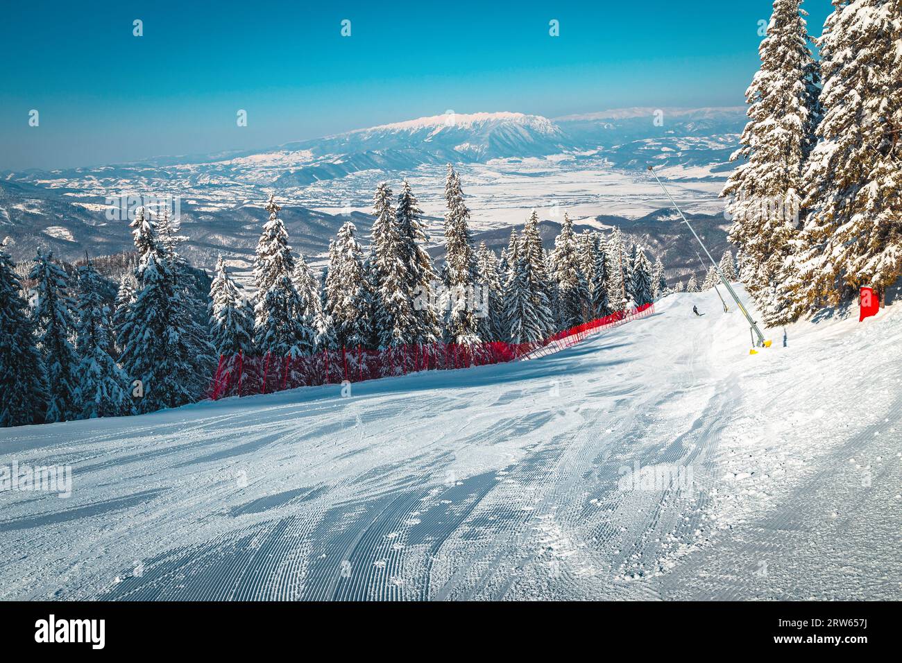 Itinéraire de ski fraîchement préparé avec canons à neige et forêt de pins enneigés dans la station de ski Poiana Brasov, Transylvanie, Roumanie, Europe Banque D'Images