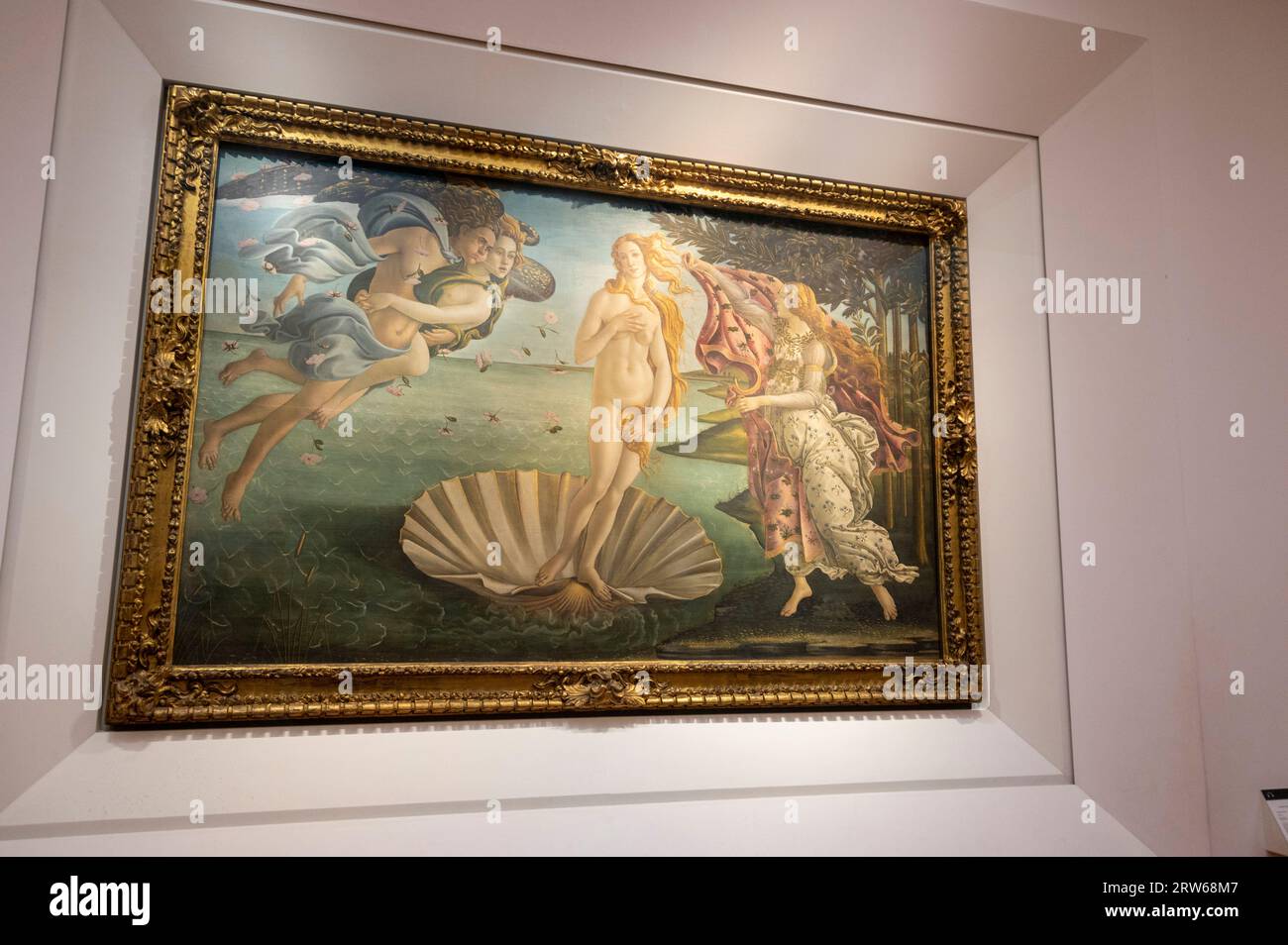 L'une des attractions artistiques les plus importantes de la galerie d'art des Offices est la naissance de Vénus, montrant la déesse, Vénus, debout sur une coquille Saint-Jacques géante. Le Banque D'Images