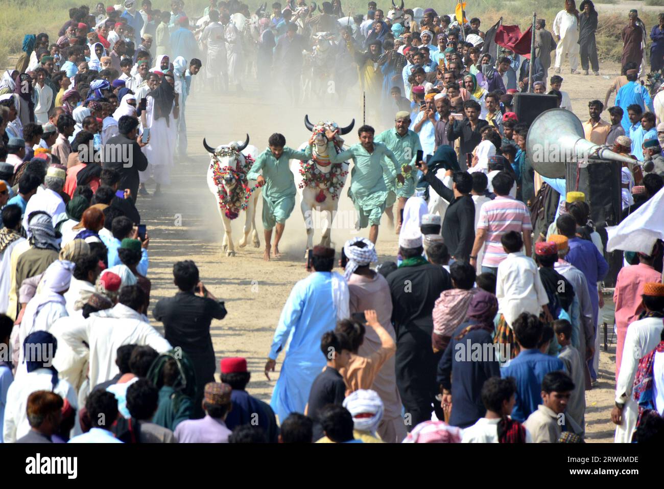 Hyderabad. 17 septembre 2023. Les agriculteurs courent avec leur bétail lors d'une course de bétail traditionnelle à la périphérie de Hyderabad, dans le sud du Pakistan, le 17 septembre 2023. Crédit : Str/Xinhua/Alamy Live News Banque D'Images