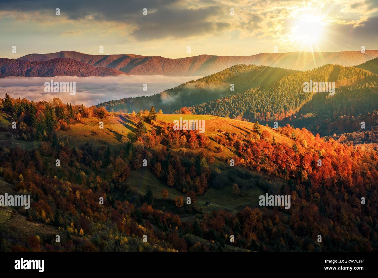 Brouillard froid dans la vallée de la chaîne de montagnes des Carpates au coucher du soleil. paysage rural avec prairies herbeuses et arbres dans le feuillage coloré sur la colline. beau Banque D'Images