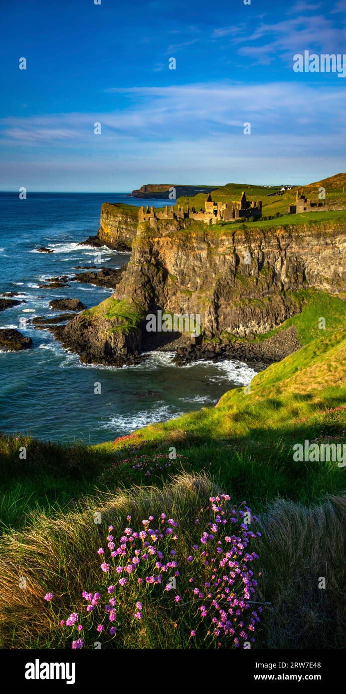 Ruines du château de Dunluce sur la côte irlandaise, Causeway Coastal route, comté d'Antrim Irlande du Nord Banque D'Images
