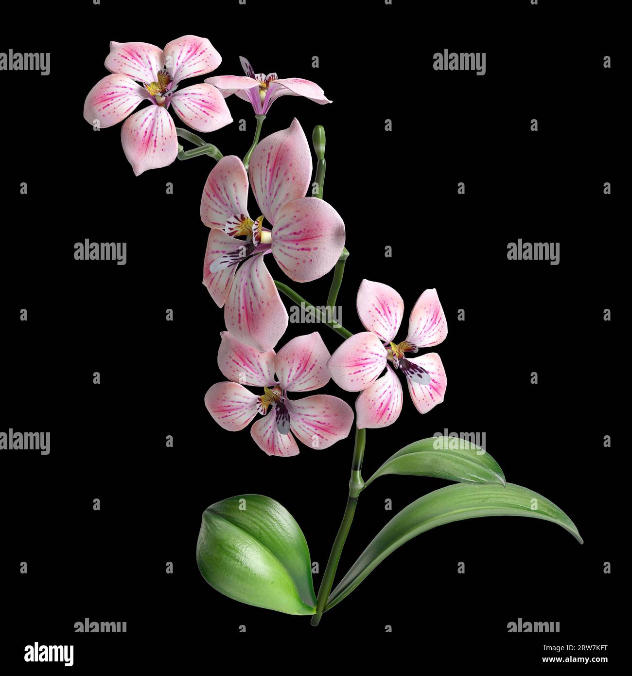 illustration 3d de fond noir isolé de fleur et de feuille Banque D'Images