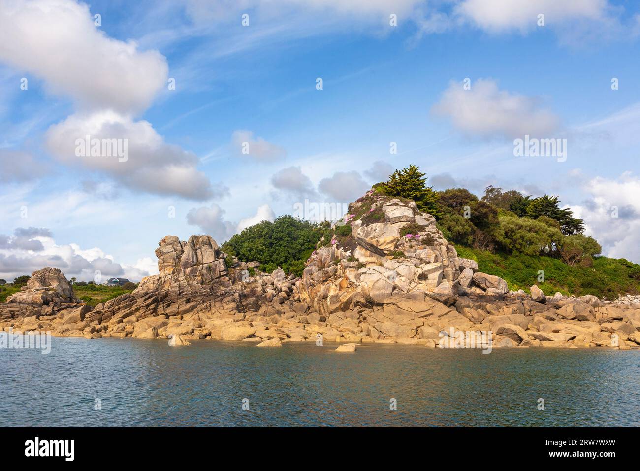 Partie du jardin Exotique de Roscoff (le jardin Exotique de Roscoff), Finistère, Bretagne, France, de la mer Banque D'Images