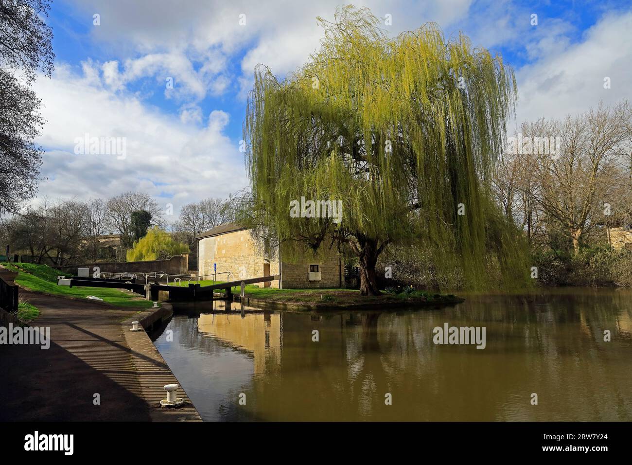 Saule pleureur à la station de pompage sur le canal Kennet et Avon à Widcombe Bottom Lock, ville de Bath, Angleterre. Septembre 2023 Banque D'Images