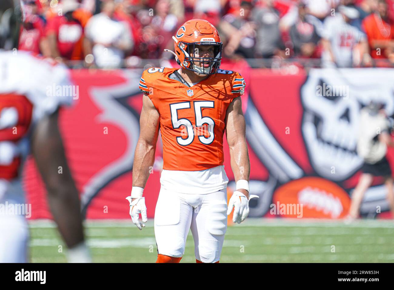 Tampa Bay, Floride, États-Unis, 17 septembre 2023, Dylan Cole, le joueur de ligne des Chicago Bears #55 au Raymond James Stadium. (Crédit photo : Marty Jean-Louis/Alamy Live News Banque D'Images