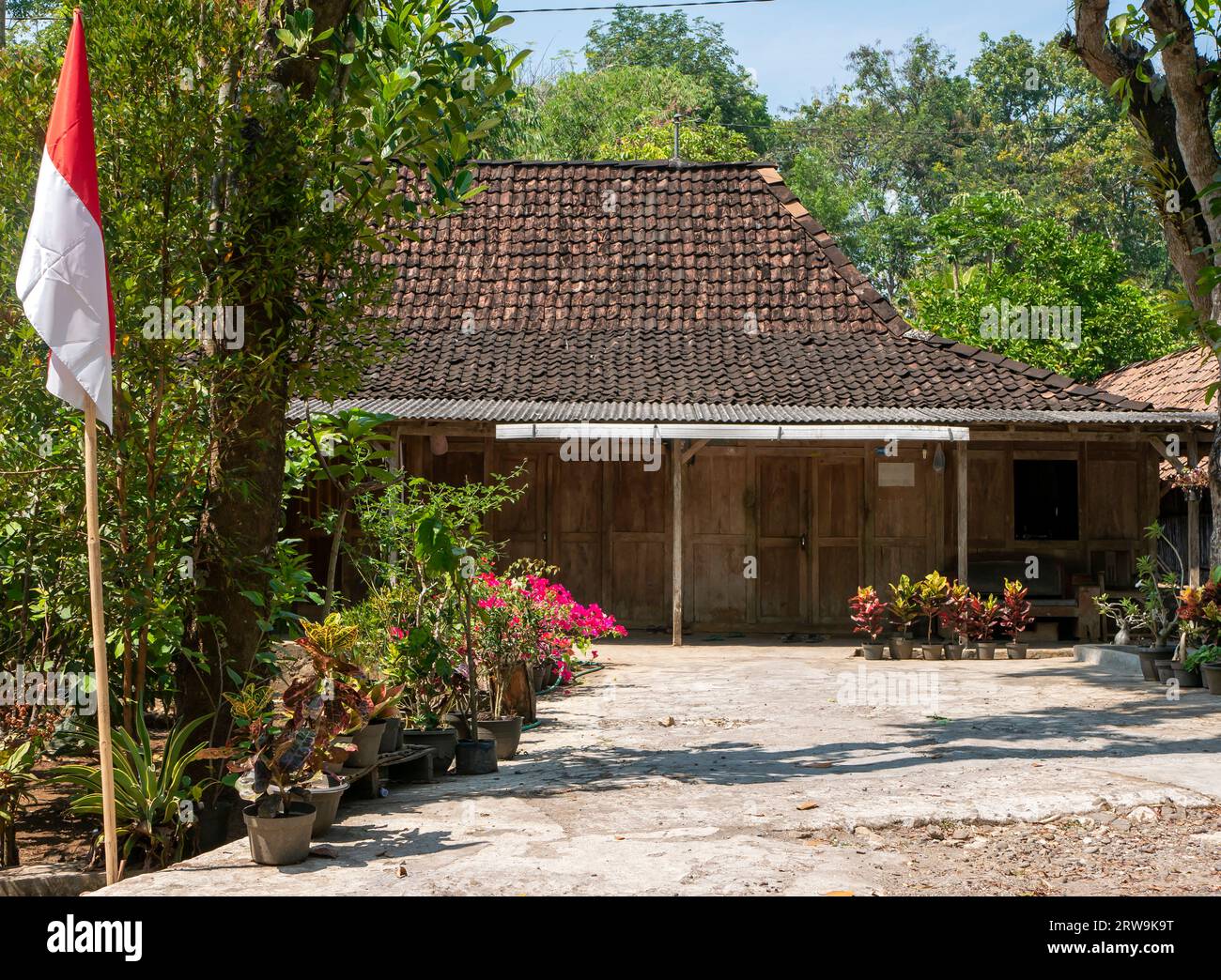 Une maison javanaise ancienne et classique en bois de teck, maison en bois avec drapeau indonésien, dans un village javanais, Yogyakarta, Indonésie Banque D'Images