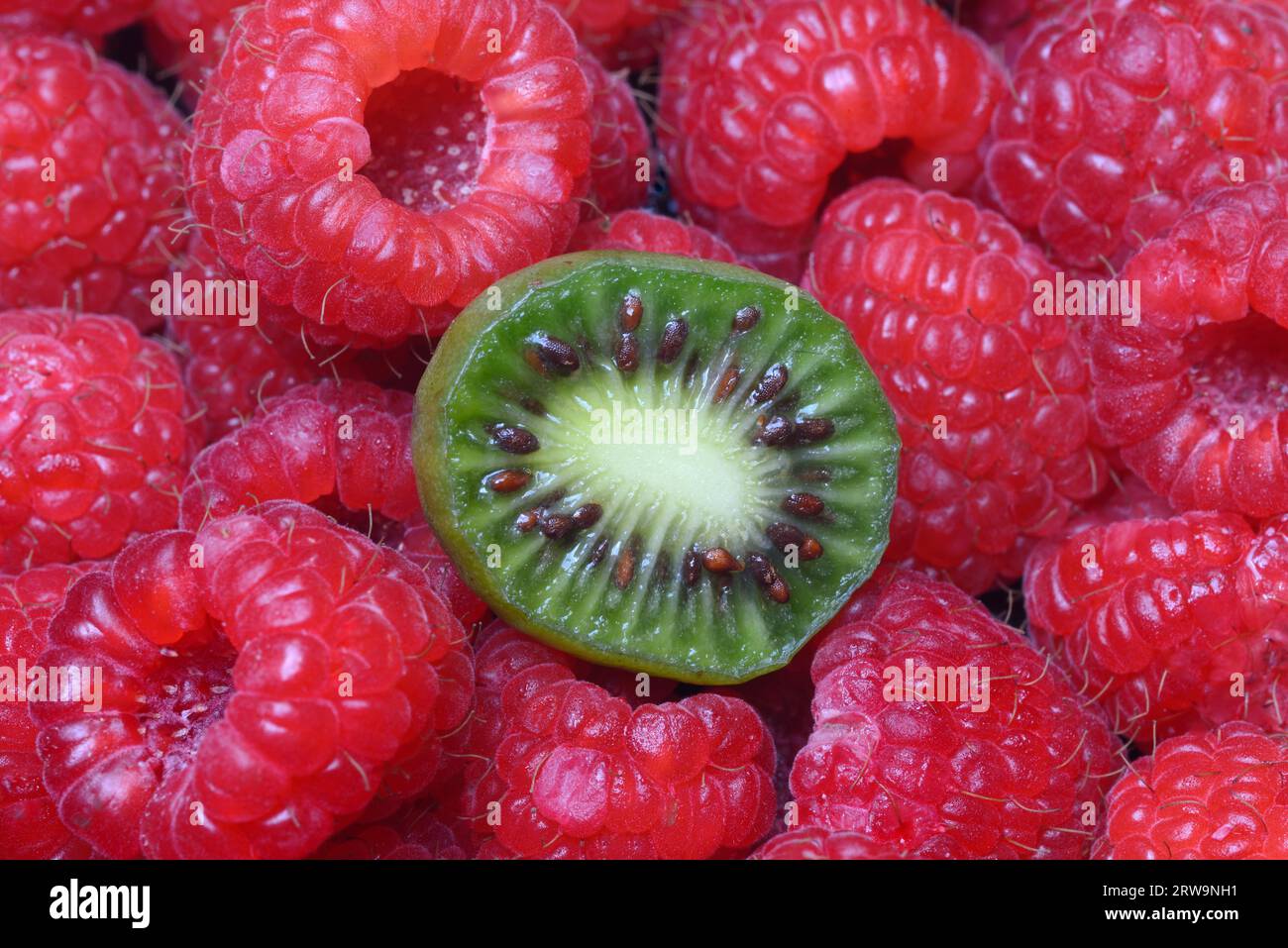 Mini kiwi coupé en deux sur framboises (Actinidia arguta) Banque D'Images