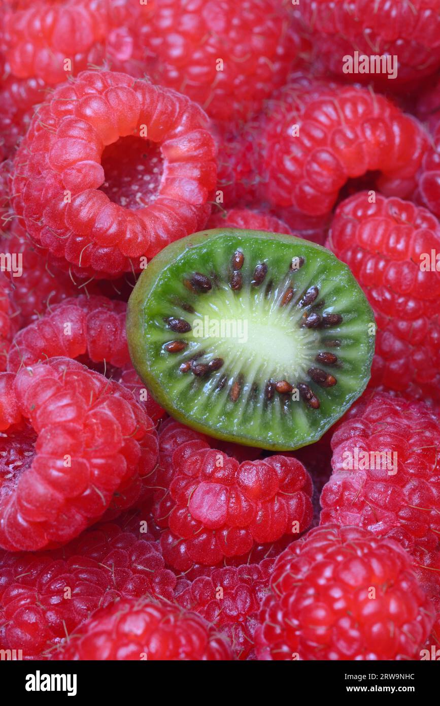 Mini kiwi coupé en deux sur framboises (Actinidia arguta) Banque D'Images