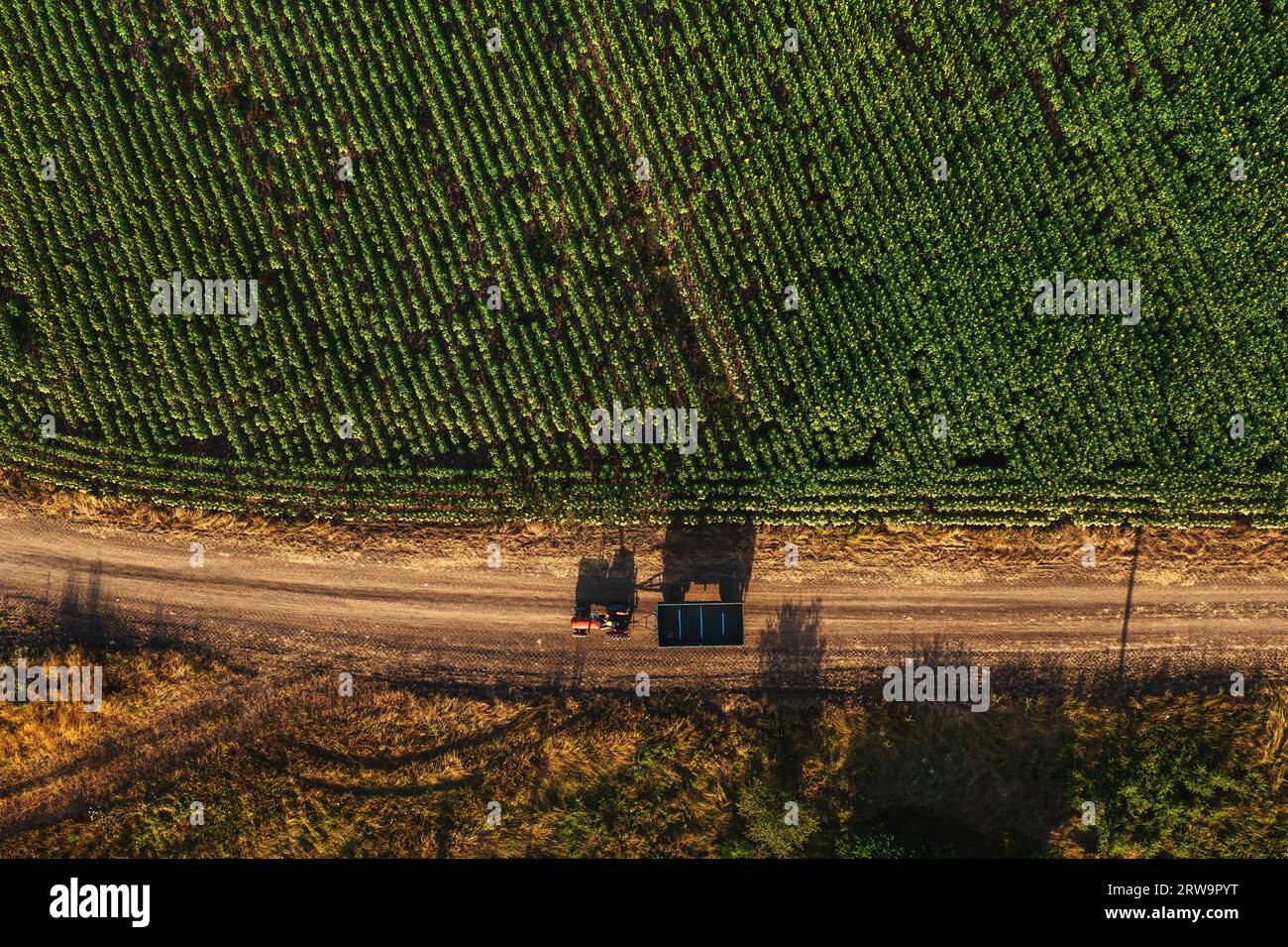 Tracteur agricole avec remorque de wagon vide sur le chemin de terre de campagne en été, projetant l'ombre sur le sol, plan aérien de drone pov, directement a Banque D'Images