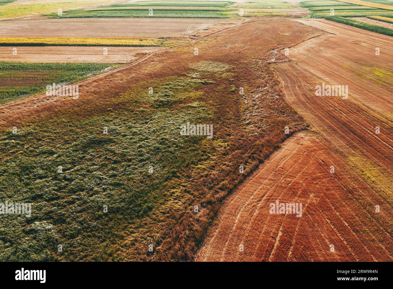 Prise de vue aérienne de prairie de campagne en été à partir de drone pov, vaste zone de prairies non cultivées et champs cultivés Banque D'Images