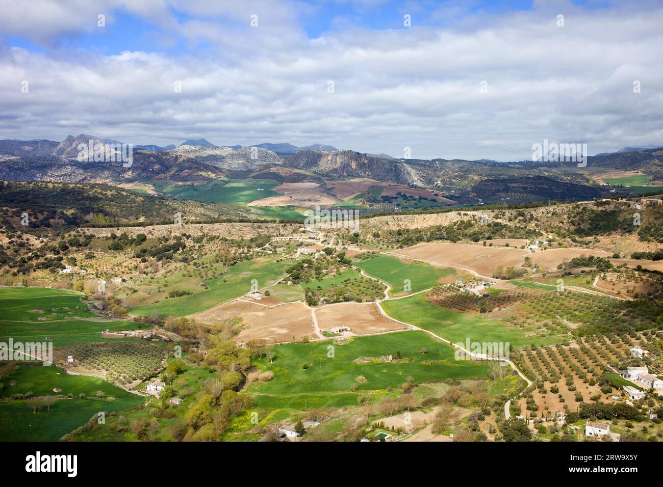 Paysage pittoresque avec champs cultivés et prairies verdoyantes de campagne vallonnée d'Andalousie dans le sud de l'Espagne Banque D'Images