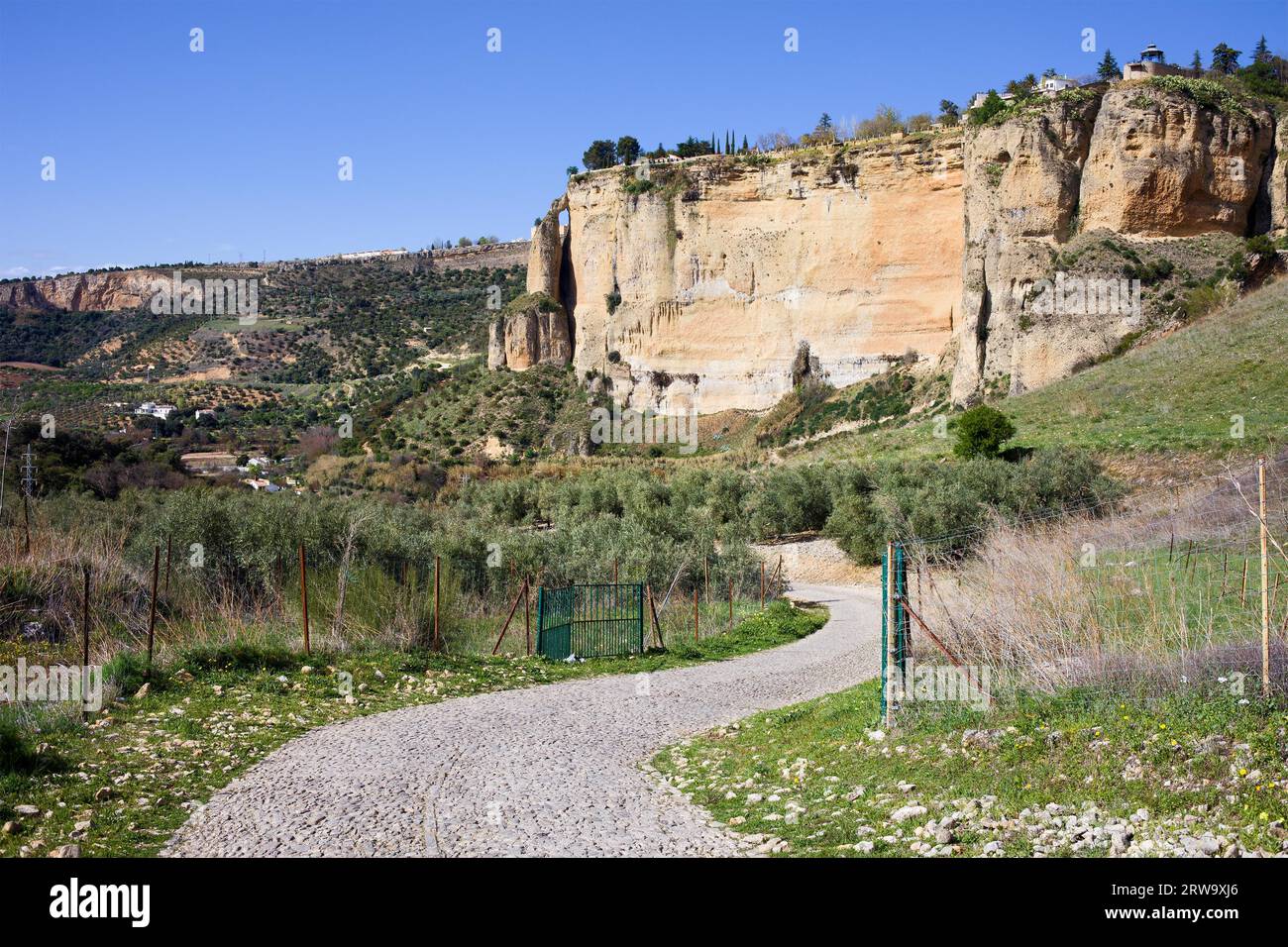 Route pavée à travers la campagne andalouse et rocher de Ronda dans le sud de l'Espagne, province de Malaga Banque D'Images