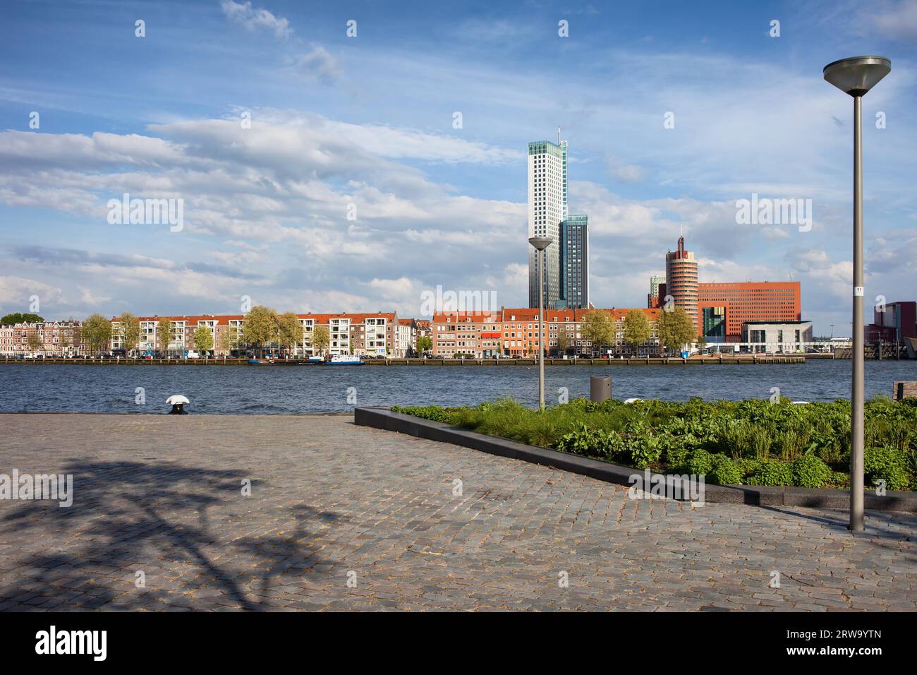 Ville de Rotterdam Skyline et promenade le long de la rivière Nieuwe Maas (Nouvelle Meuse) aux pays-Bas, province de Hollande du Sud Banque D'Images