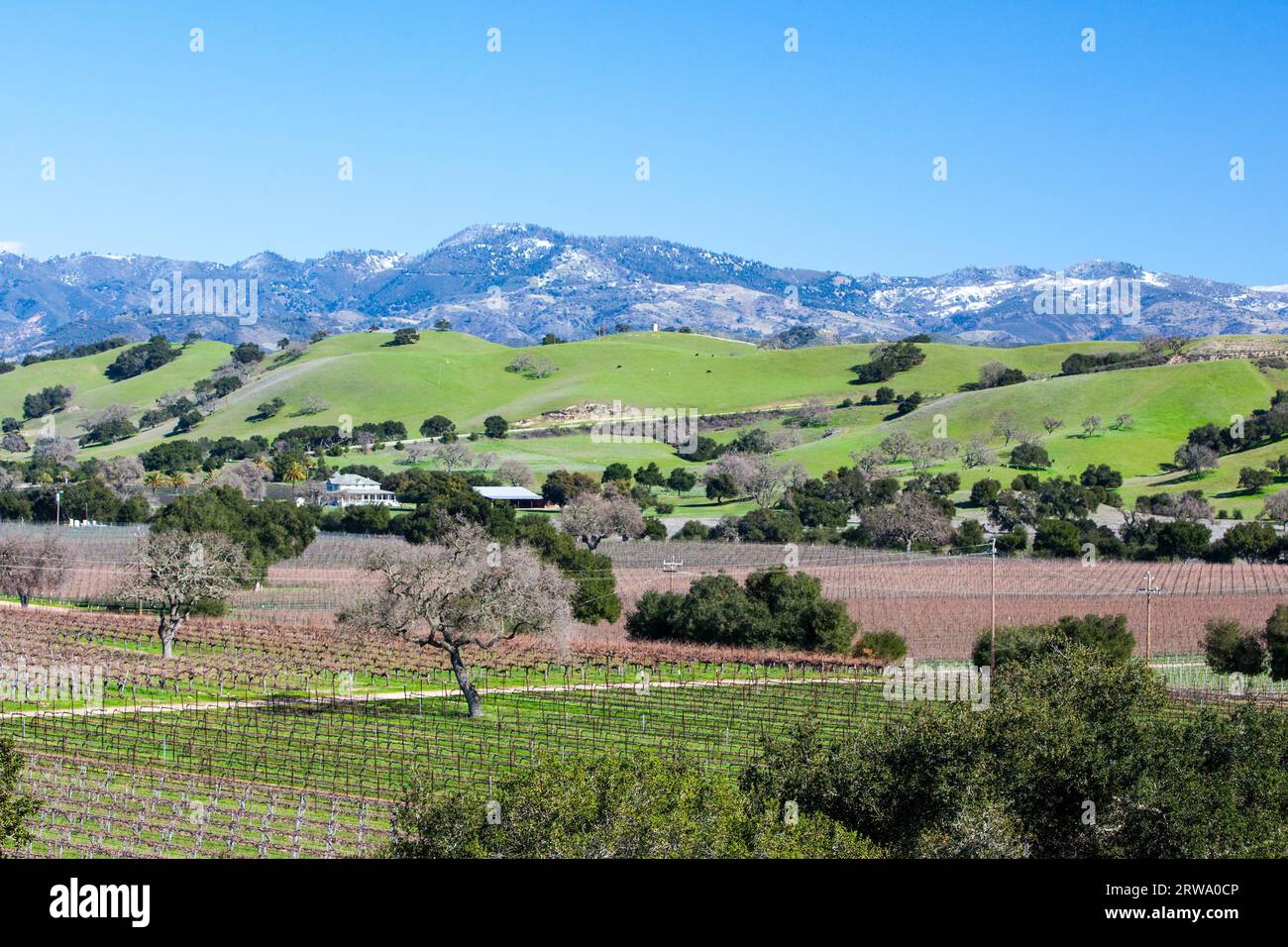 Vue de la région viticole de Santa Barbara en hiver près de Los Olivos, Californie, USA Banque D'Images