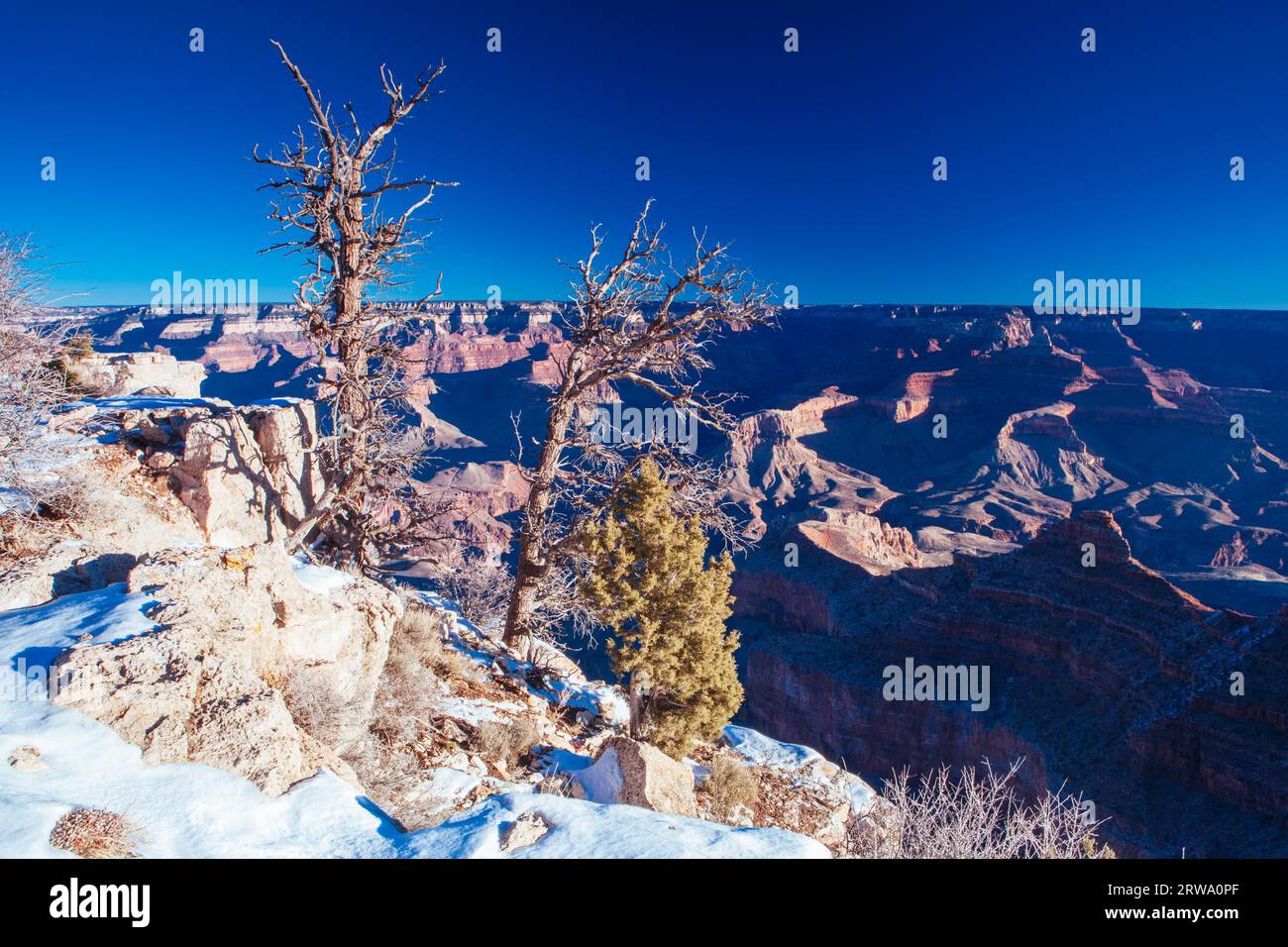 Vue imprenable en journée en hiver autour de Grandview point dans le Grand Canyon, Arizona, États-Unis Banque D'Images