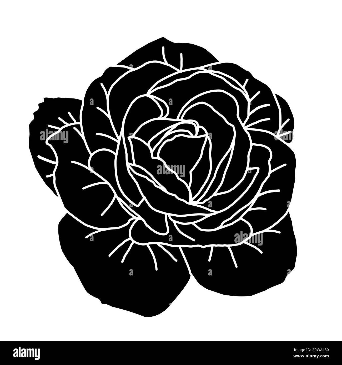 Silhouette de tête de roses dessinées à la main pour l'emballage, la publication de médias sociaux, la couverture, la bannière, la publication créative et les arts muraux Croquis isolés de bourgeon de rose en col noir Illustration de Vecteur