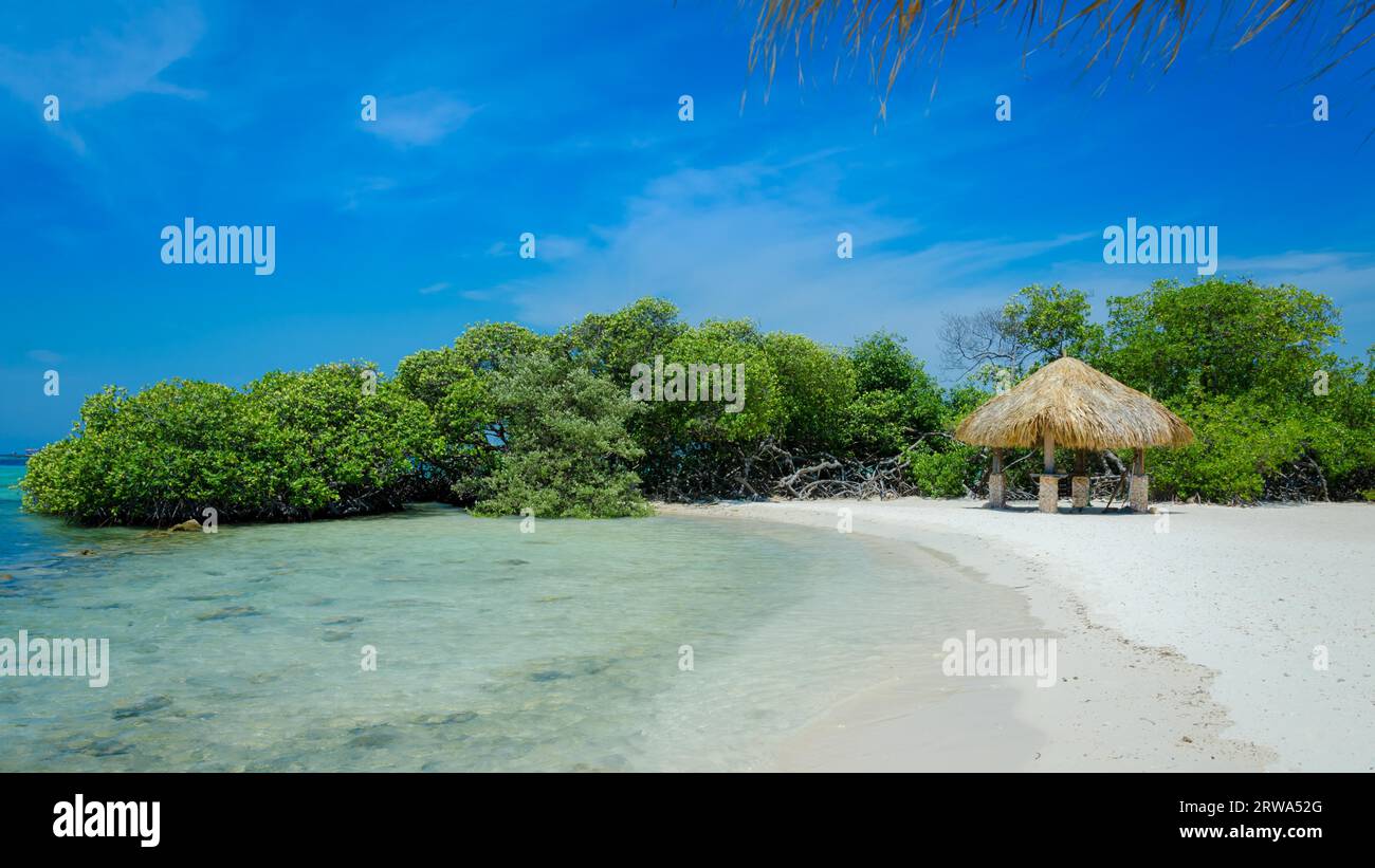 Regardant à travers les palétuviers dans Mangel Halto beach à Aruba Banque D'Images