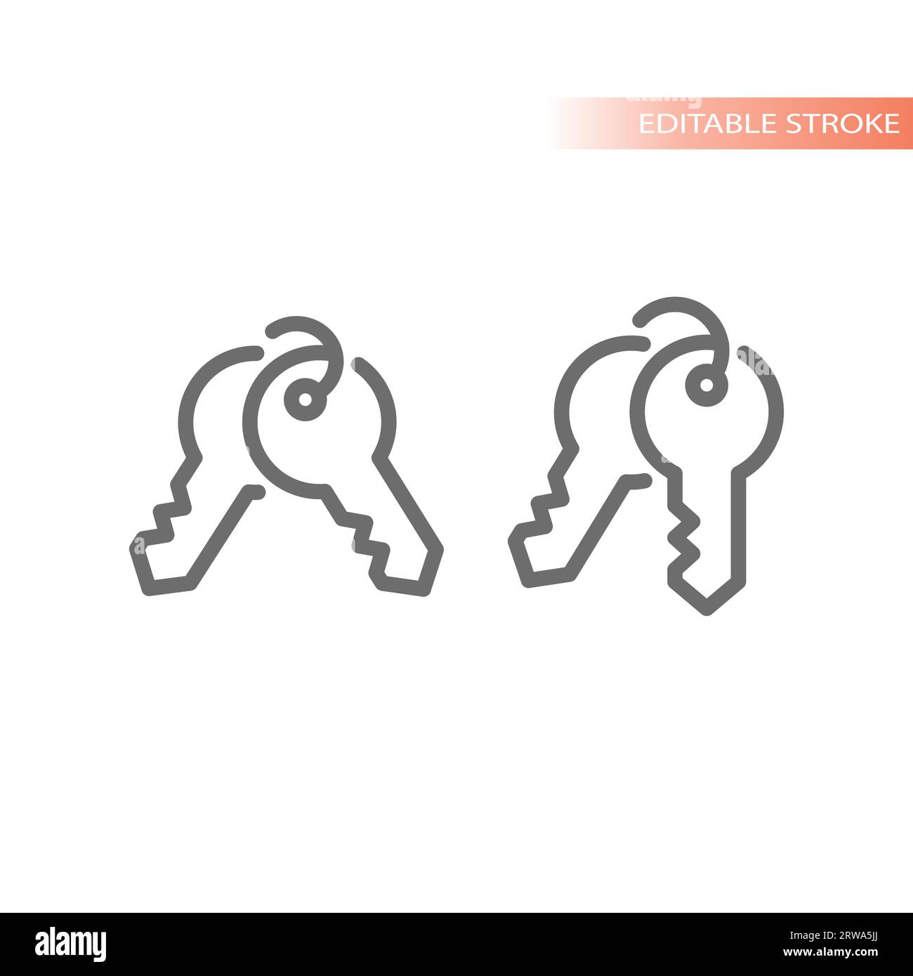 Jeu de clés sur l'icône vecteur de porte-clés. Symbole de contour de paire de clés. Illustration de Vecteur