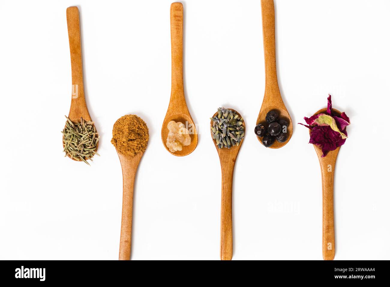 Échantillons d'herbes, de graines et de pétales de fleurs pour les produits de soin de la peau Banque D'Images