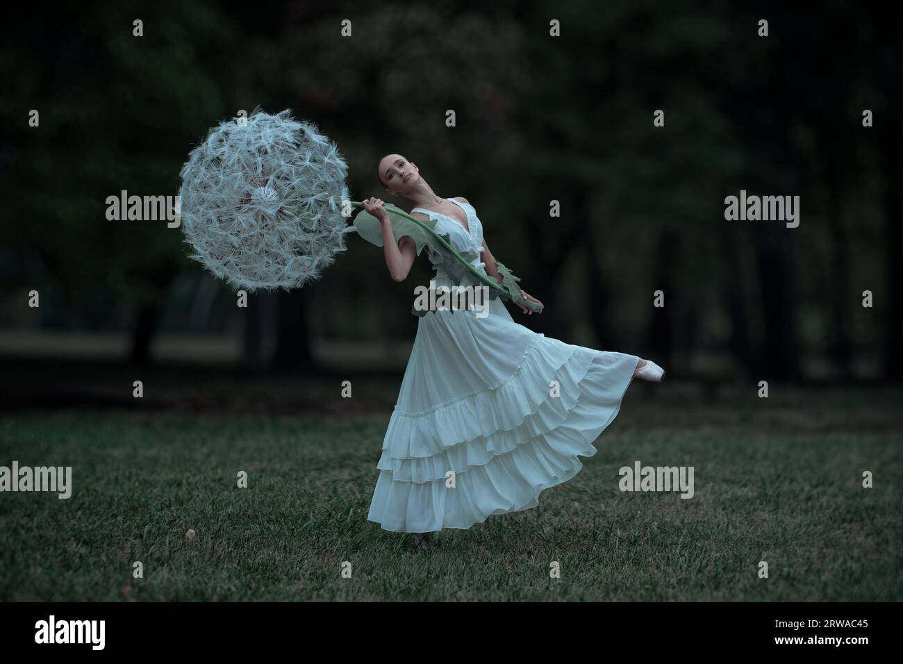 Belle ballerine avec des fleurs géantes de pissenlits Banque D'Images