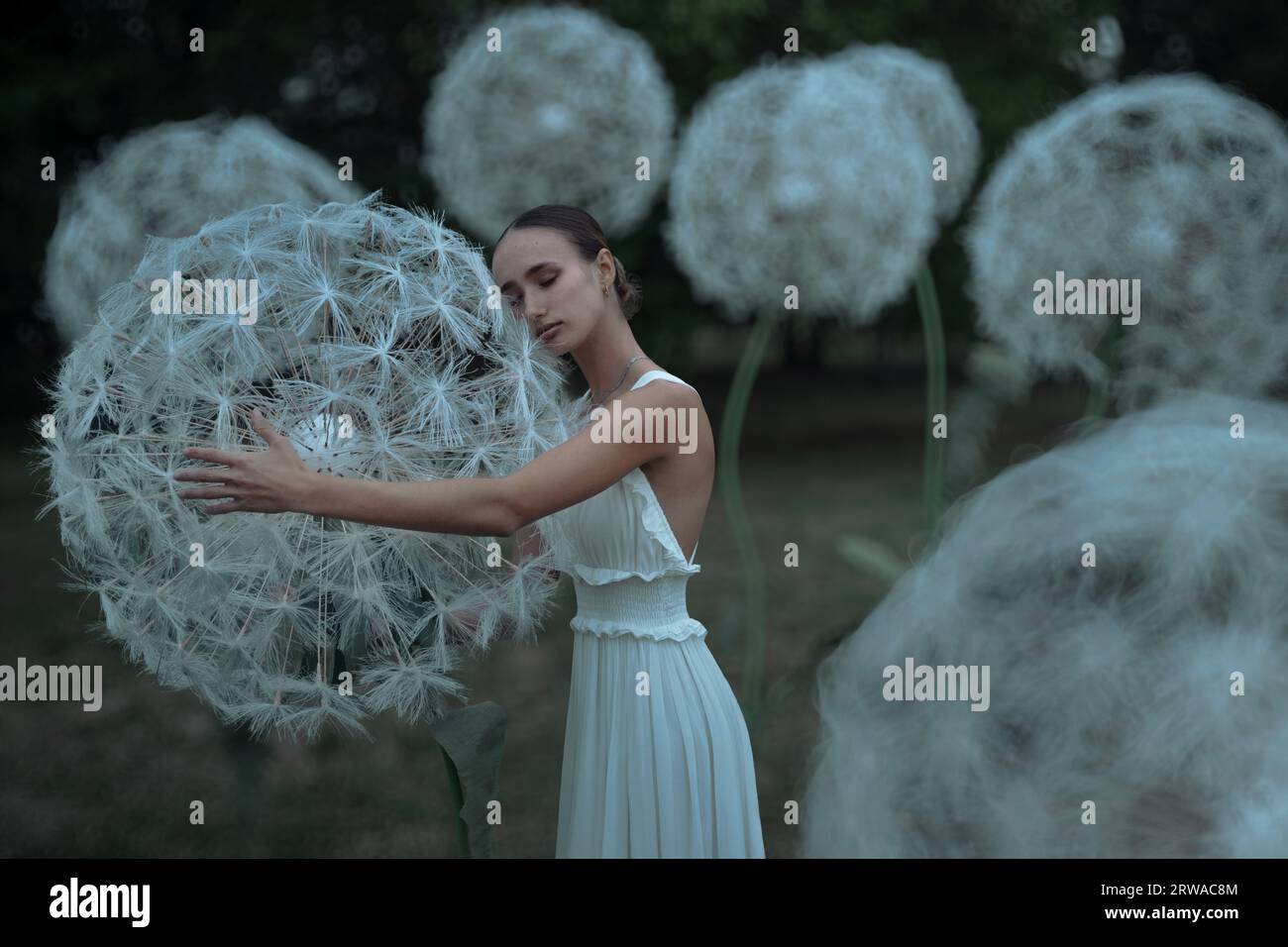 Belle ballerine avec des fleurs géantes de pissenlits Banque D'Images