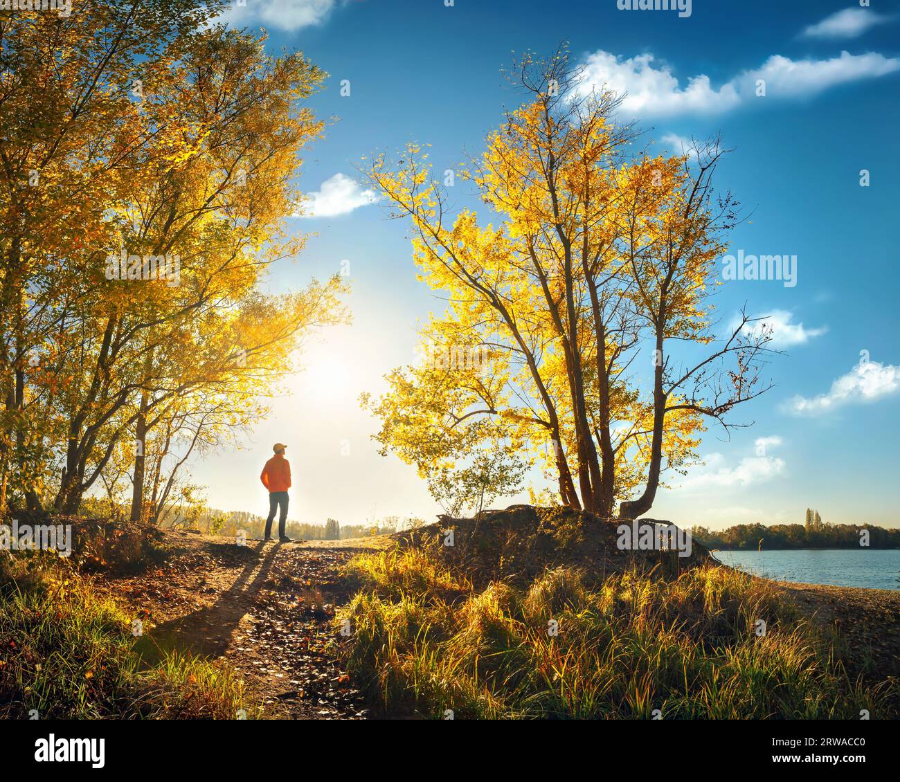 Homme debout au bord d'un lac et profitant du paysage pittoresque dans le soleil d'automne. Avec un ciel bleu, des nuages moelleux et un feuillage jaune vif sur le t Banque D'Images