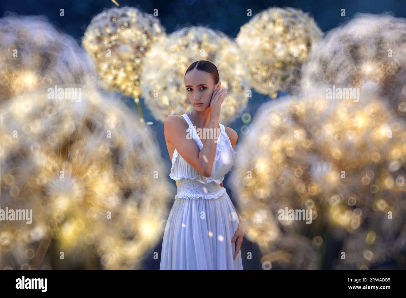 Belle ballerine avec pissenlits géants avec des lumières Banque D'Images