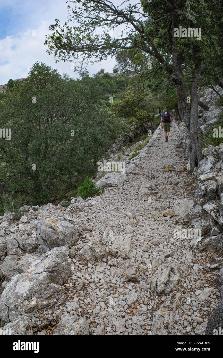 Valldemossa, Espagne - 11 juin 2023 : sentiers de randonnée sur le GR221 dans les montagnes de Tramontana, Majorque Banque D'Images