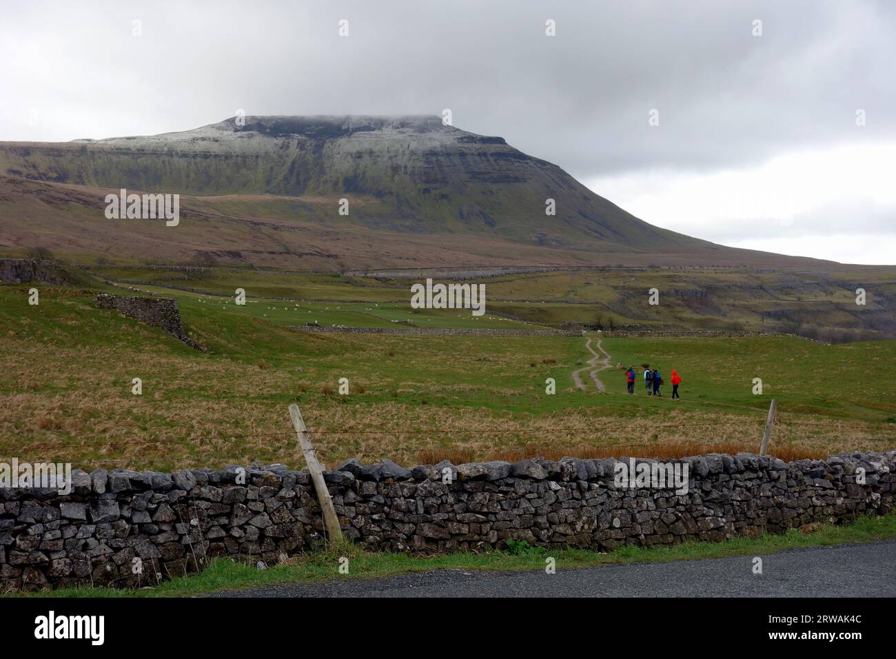 Promeneurs sur le chemin d'Ingleborough l'un des trois sommets du Yorkshire de la route B6255 près de Chapel-le-dale, parc national des Yorkshire Dales, Angleterre, Royaume-Uni. Banque D'Images