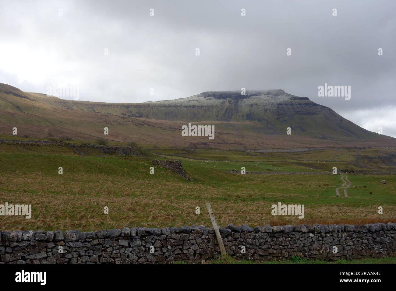 La montagne Ingleborough l'un des trois sommets du Yorkshire de la route B6255 près de Chapel-le-dale, parc national des Yorkshire Dales, Angleterre, Royaume-Uni. Banque D'Images