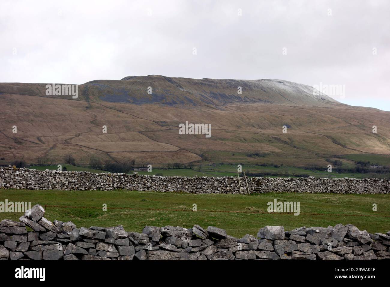 La montagne Whernside l'un des trois sommets du Yorkshire de la route B6255 près de Chapel-le-dale, parc national des Yorkshire Dales, Angleterre, Royaume-Uni. Banque D'Images