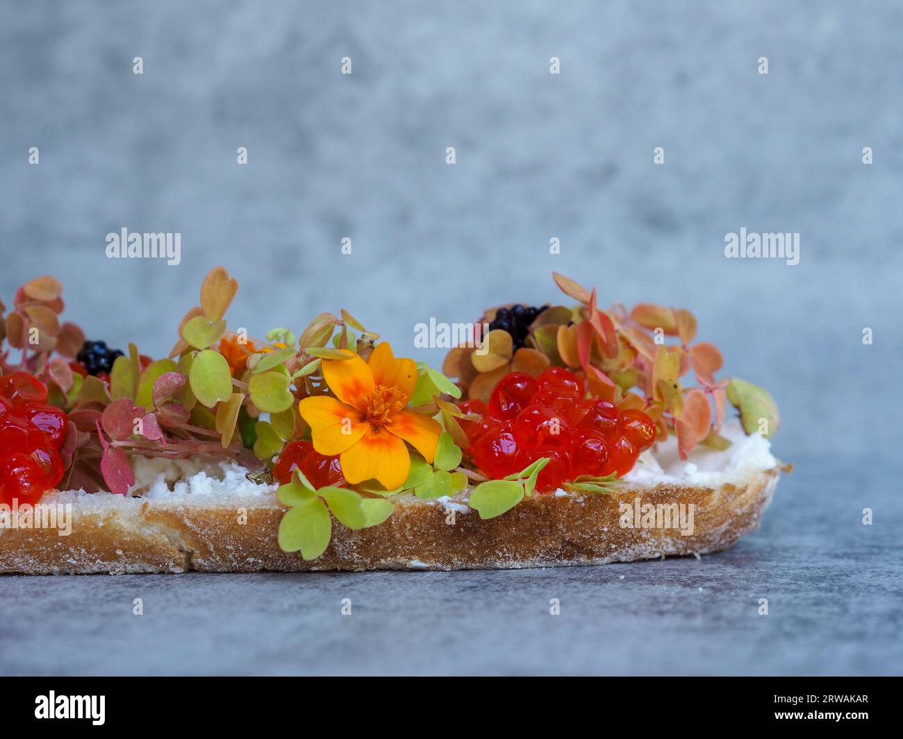 Joli toast floral : gros plan d'une tranche de levain garnie de feuilles de salade colorées (oseille), de caviar (œufs de poisson) et de fleurs comestibles de profil Banque D'Images