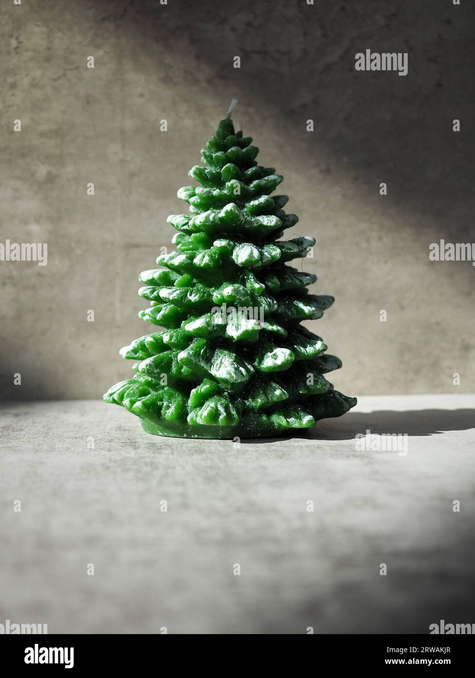 Décoration minimaliste de bougie d'arbre de Noël avec des branches enneigées sur un fond de béton gris dans un puits de lumière avec espace de copie Banque D'Images