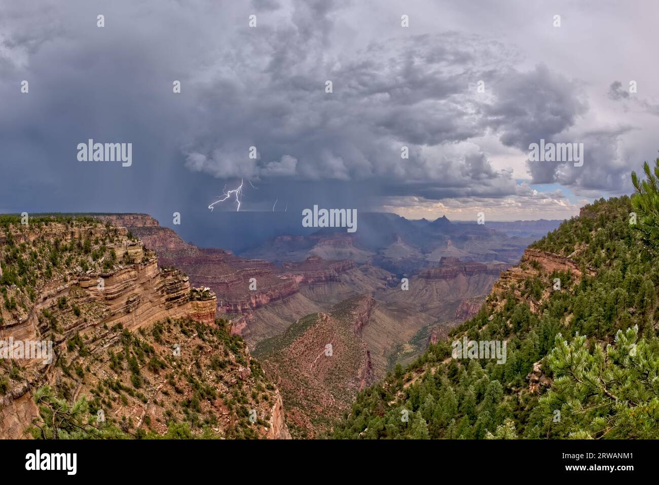 Foudre au-dessus de la rive nord du parc national du Grand Canyon depuis Twin View Overlook, Arizona, États-Unis Banque D'Images