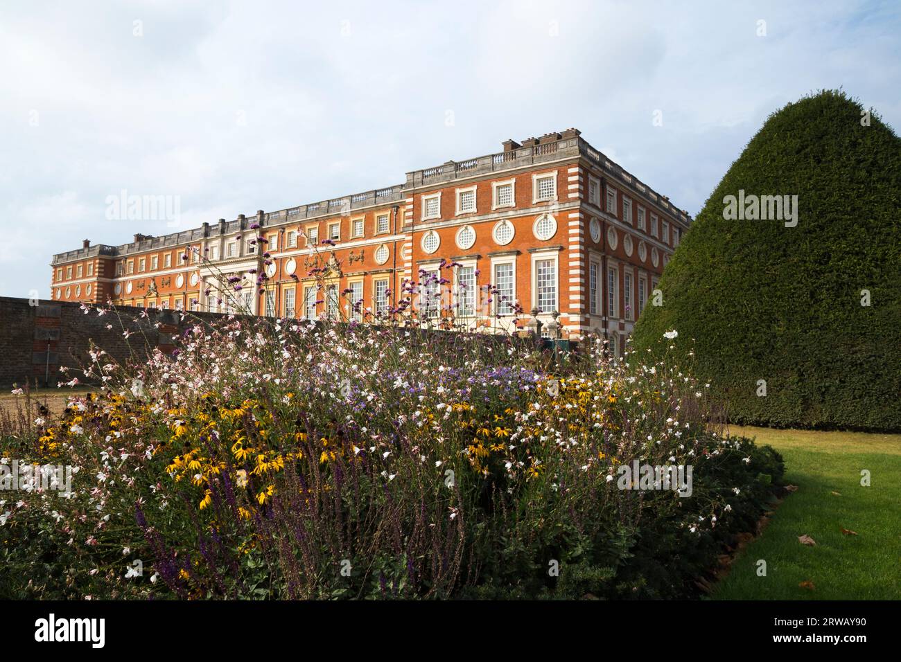 Fleurs sauvages plantées dans un parterre de fleurs avec la façade sud de Sir Christopher Wren du palais de Hampton court en arrière-plan. Richmond. Londres Royaume-Uni (135). Banque D'Images