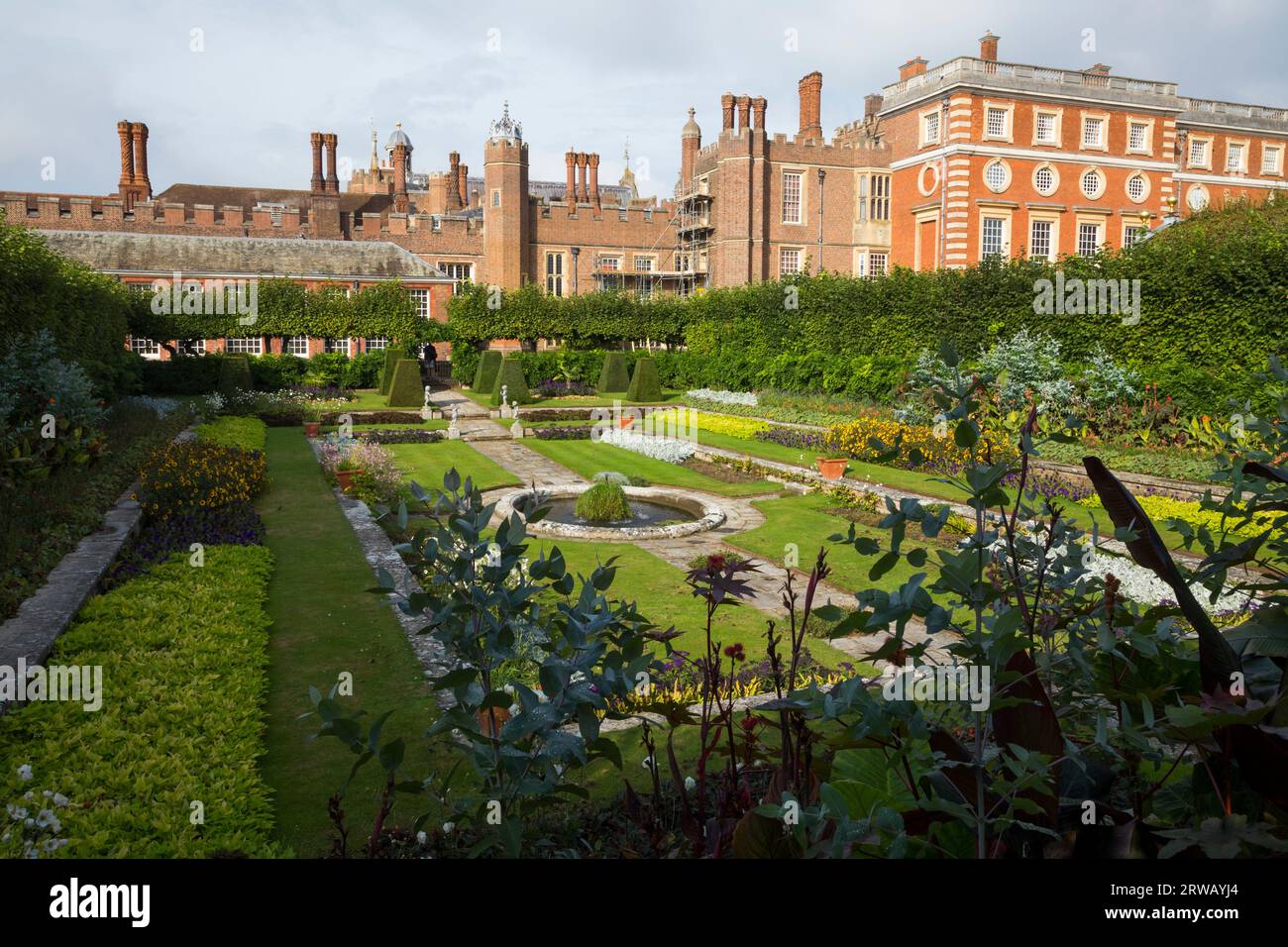 L'un des jardins de l'étang du palais de Hampton court. Jardins en contrebas de style néerlandais formel, ils sont situés à côté du jardin privé. Londres Royaume-Uni (135) Banque D'Images