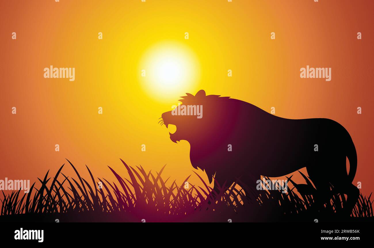 Illustration vectorielle de backgrounde silhouette de lion après-midi Illustration de Vecteur