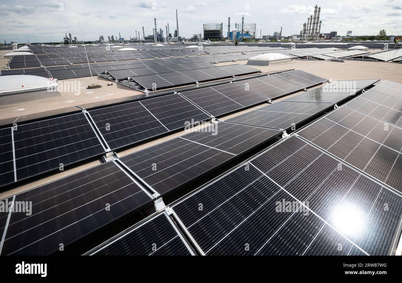 Marl, Allemagne. 18 septembre 2023. Le soleil se reflète sur les panneaux solaires sur le toit d’un centre logistique Metro avant l’ouverture officielle de la centrale solaire de 12 mégawatts sur le toit. En arrière-plan se trouve un parc chimique adjacent. Selon les opérateurs, l'usine est la plus grande installation sur toit d'Allemagne. Crédit : Bernd Thissen/dpa/Alamy Live News Banque D'Images