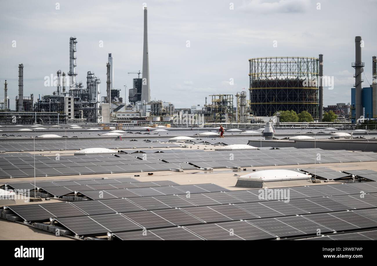 Marl, Allemagne. 18 septembre 2023. Un ouvrier marche entre les panneaux solaires avant l’ouverture officielle du panneau solaire de 12 mégawatts sur le toit sur le toit d’un centre logistique Metro. En arrière-plan se trouve un parc chimique adjacent. Selon les opérateurs, l'usine est la plus grande installation sur toit d'Allemagne. Crédit : Bernd Thissen/dpa/Alamy Live News Banque D'Images