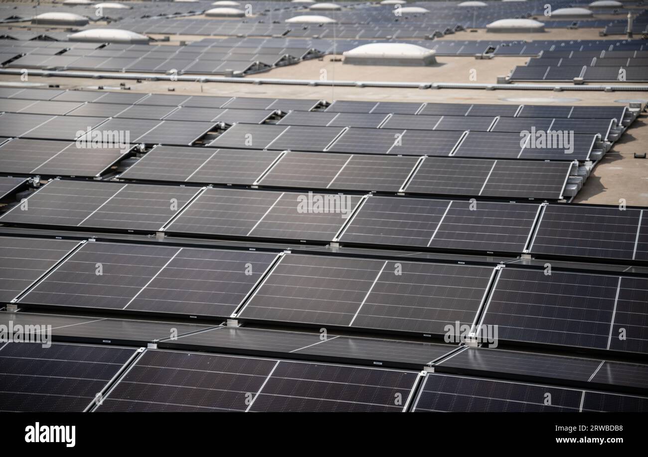 Marl, Allemagne. 18 septembre 2023. Une vue des panneaux solaires sur le toit d’un centre logistique Metro avant l’ouverture officielle de la centrale solaire sur toit de 12 mégawatts. Selon les opérateurs, l'usine est la plus grande installation sur toit d'Allemagne. Crédit : Bernd Thissen/dpa/Alamy Live News Banque D'Images