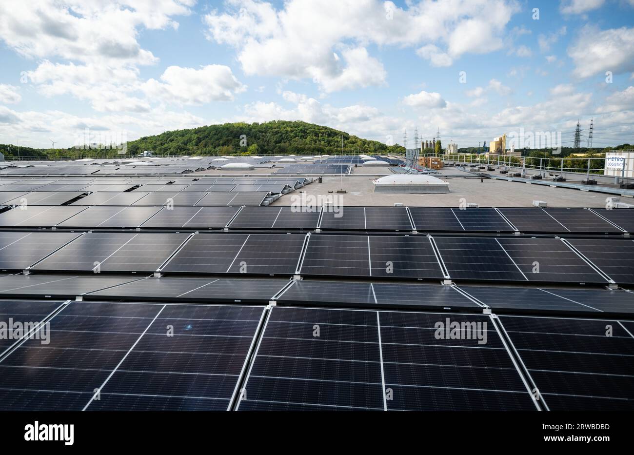 Marl, Allemagne. 18 septembre 2023. Une vue des panneaux solaires sur le toit d’un centre logistique Metro avant l’ouverture officielle de la centrale solaire sur toit de 12 mégawatts. Selon les opérateurs, l'usine est la plus grande installation sur toit d'Allemagne. Crédit : Bernd Thissen/dpa/Alamy Live News Banque D'Images