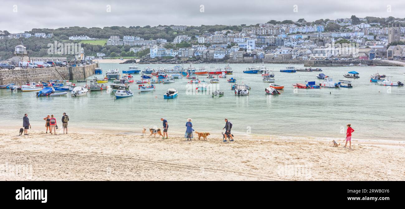Vacanciers et excursions d'une journée avec des chiens sur le rivage, avec des bateaux de pêche à flot, dans la plage du port à St Ives, Cornouailles, tandis que la marée de TH Banque D'Images
