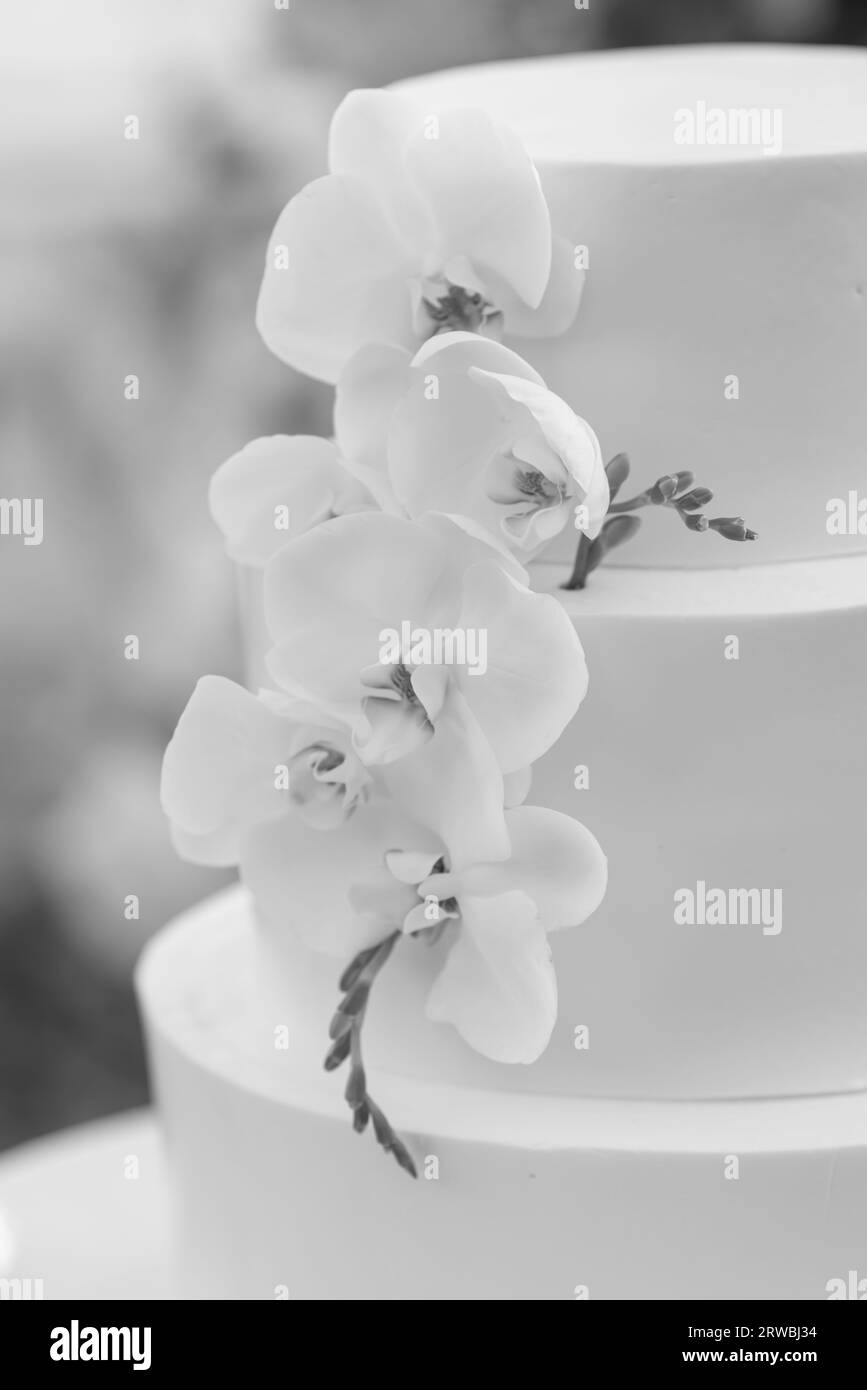 Gâteau de mariage - blanc avec des fleurs d'orchidée. Photo de haute qualité Banque D'Images